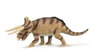 TRICERATOPS HORRIDUS-CONFRONTING L